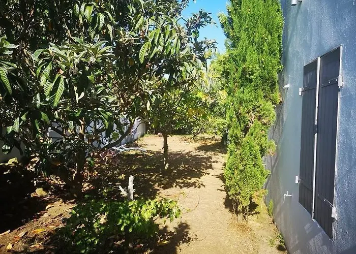 Cocon Au Coeur De L'ile D'yeu-proche Centre & Plages